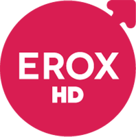 052_erox_hd_tv_logo_6353597295